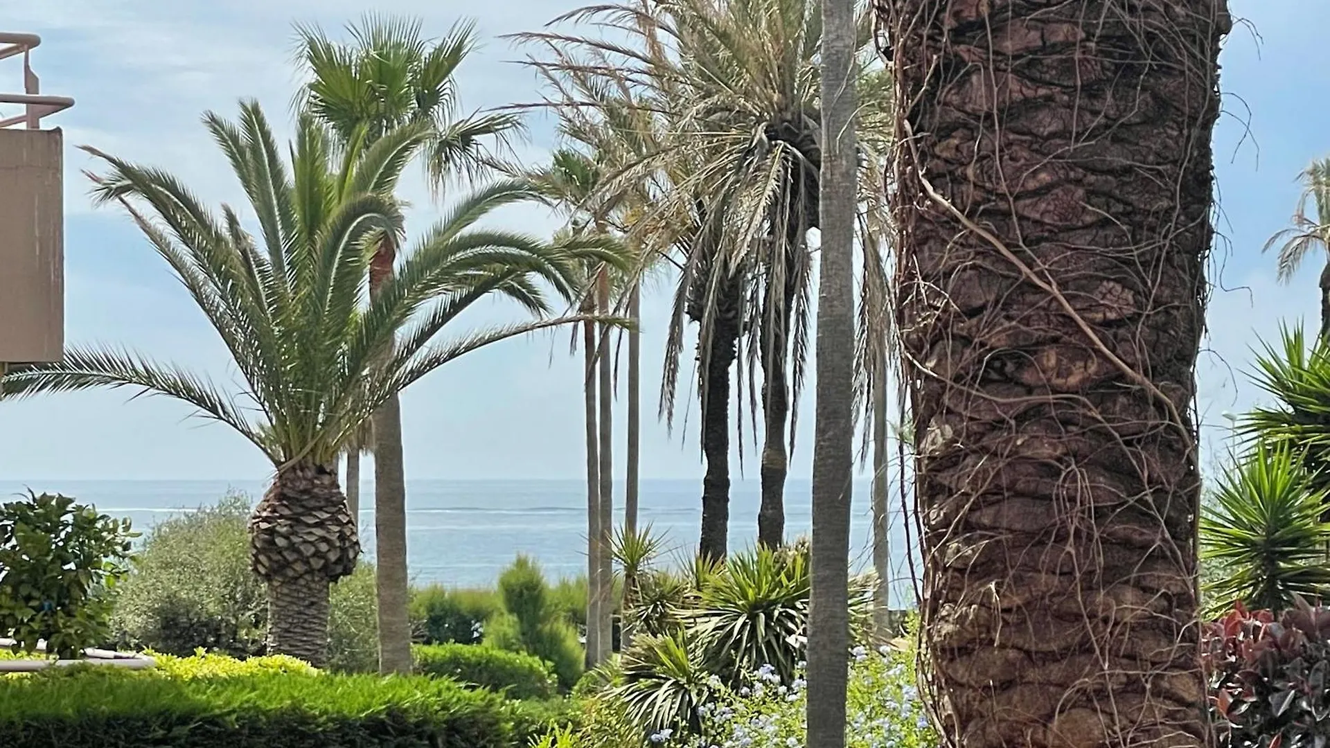 Paseo Del Mar Sotogrande Apartment San Roque   San Roque (Andalucia)